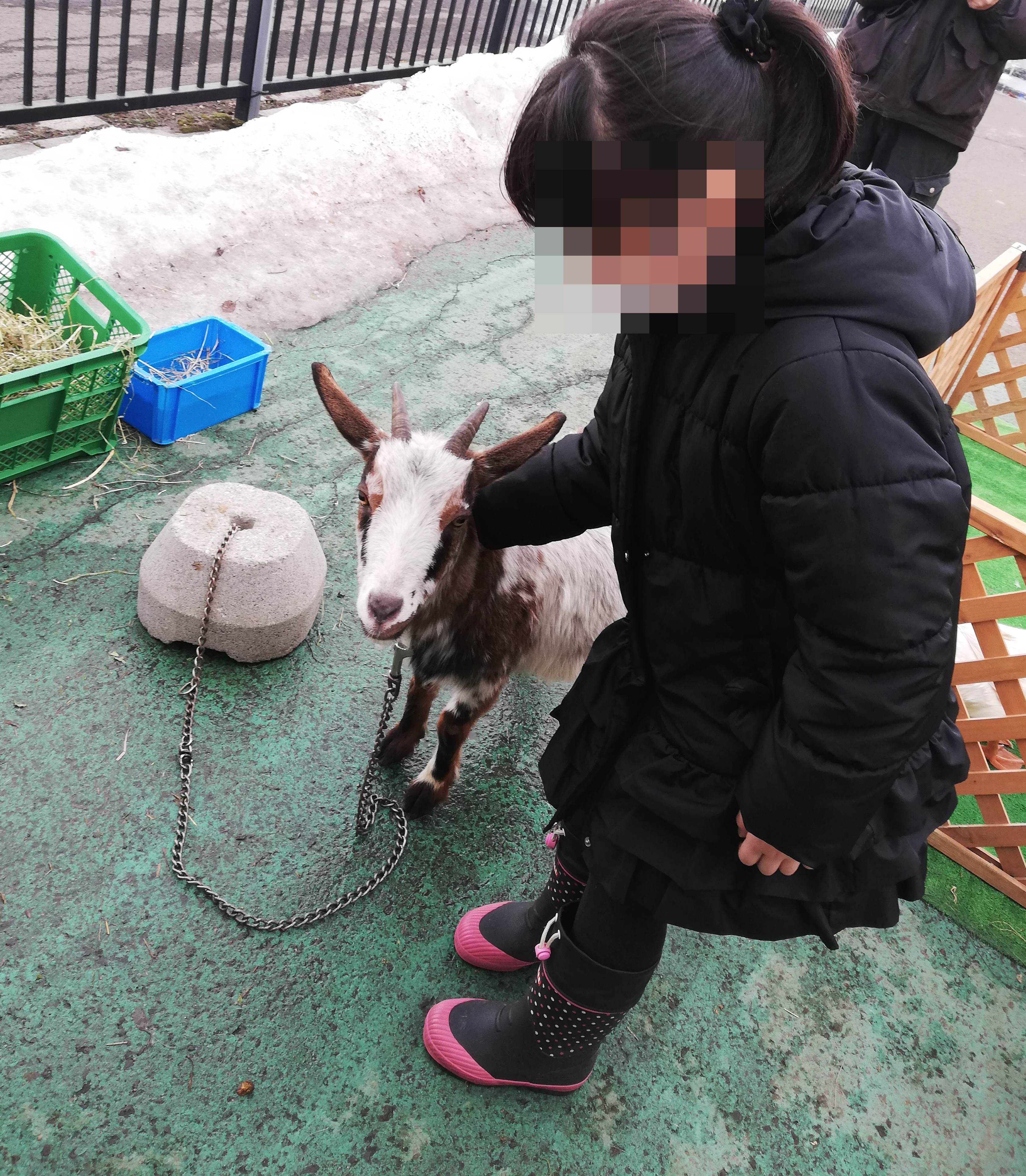 動物ふれあい体験 札幌市白石区の児童発達支援放課後等デイサービス そらいろ